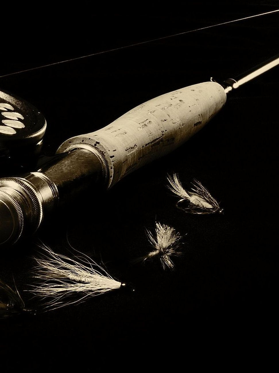 Daily Fishing